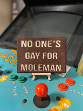 Load image into Gallery viewer, No One&#39;s Gay for Moleman Sign
