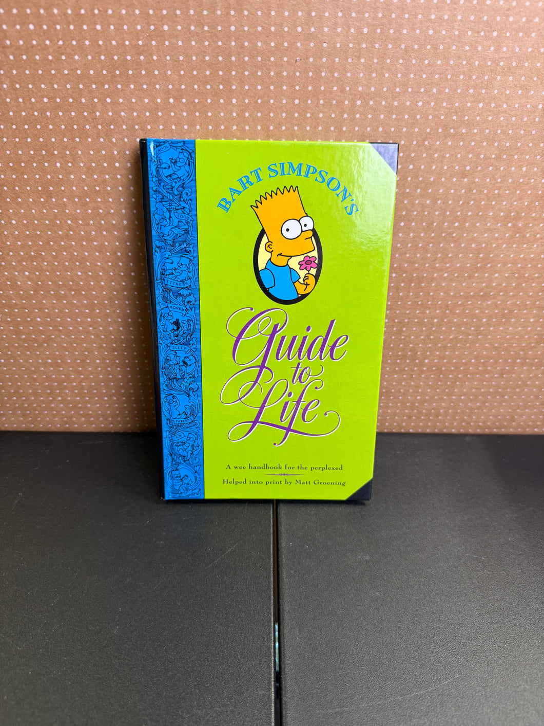 The Simpsons Guide to Life