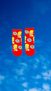 Homer with Donut RED Socks